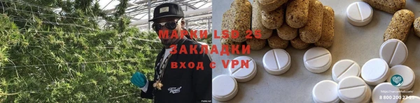 твердый Аркадак