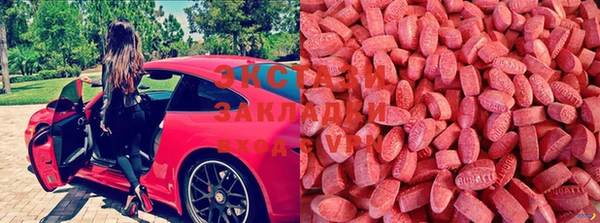 твердый Аркадак