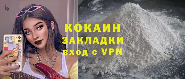 твердый Аркадак