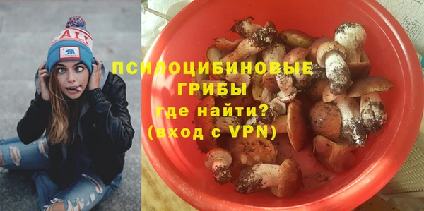 бошки Армянск