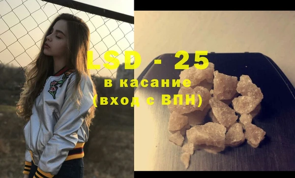ПСИЛОЦИБИНОВЫЕ ГРИБЫ Арсеньев