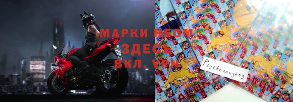 твердый Аркадак