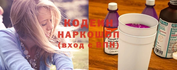 ПСИЛОЦИБИНОВЫЕ ГРИБЫ Арсеньев